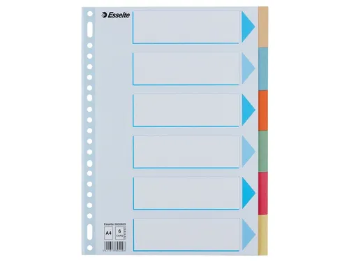 Tabbladen Esselte Premium A4 6-delig karton 23-rings assorti