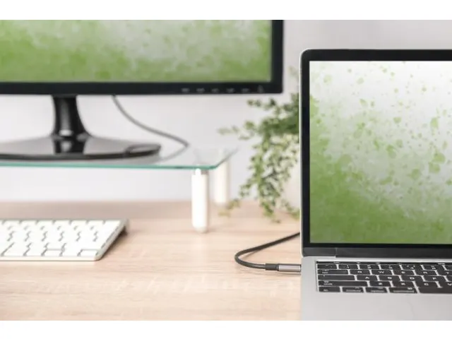 USB-C HDMI-adapter 1,8m 4K/30Hz zwart metalen behuizing