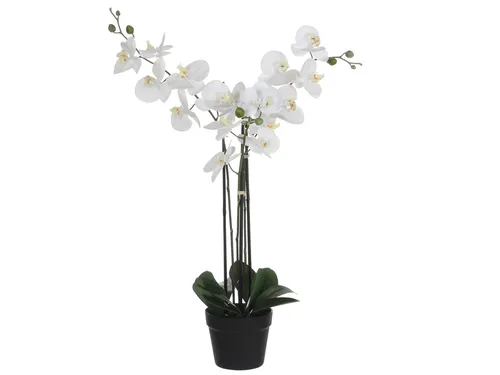 Kunstplant Mica Phalaenopsis orchidee wit in plastic pot 79x51cm