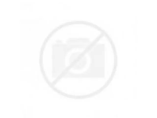 Kwast Qrea varkenshaar nr 6 6,8mm