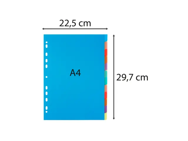 Tabbladen PP Chromaline A4 12 tabs