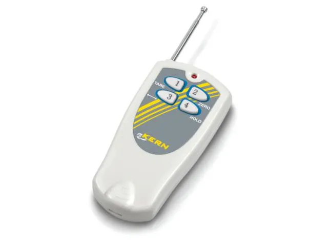 Kraanweegschaal Lcd Display Metaal Infrarood Afstandbediening 0-1000kg