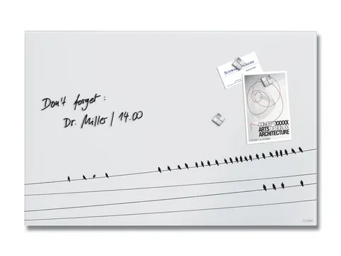 Glasmagneetbord Sigel mat LITTLE BIRDS 60x40cm