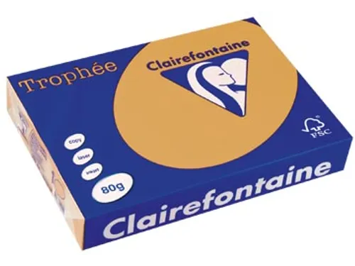 Trophée Pastel gekleurd papier A4 80 gram 500vel Caramel bruin