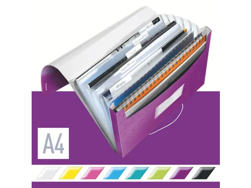 Sorteermap Leitz Wow A4 Pp 6 Vaks Paars