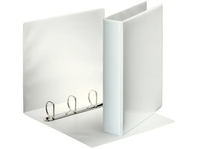 Presentatie Ringband Esselte 4 rings A4 40mm D-mech Panorama Wit