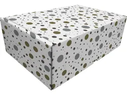 Cadeaupakketdoos Raadhuis 4 spetter 305x215x110mm krimp a 5 stuks
