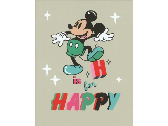 Peinture par numéros CreArt Happy