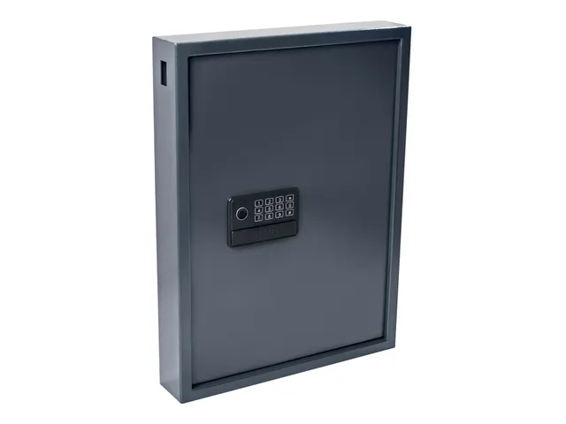 Armoire à clés Pavo High Security Magnettag 50 crochets 575x450x77mm
