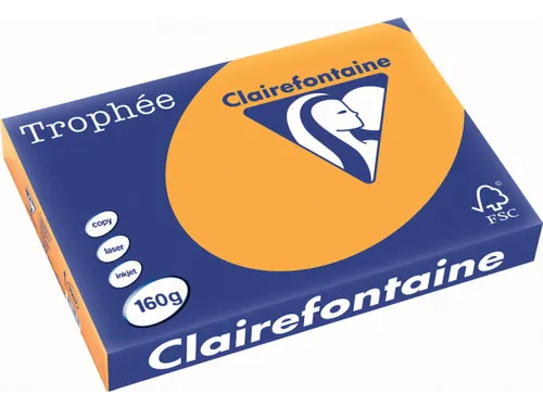 Trophée Pastel gekleurd papier A3 160 gram 250vel Oranje