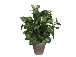 Kunstplant Mica Syngonium groen in pot 35x25cm