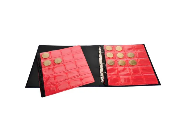 Ringmap 100 penninge n 24,5x25cm blauw