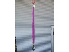 Hijsstroppen 1-Sprong Draagvermogen Direct 1T Nuttige L 1M Paars