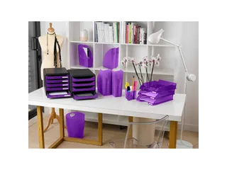 ECOBIN Papiermand 15 L violet transparant - 10