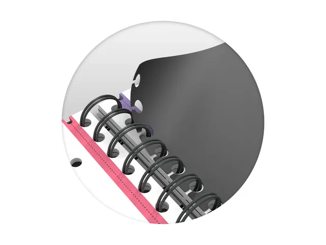 Bloc de cours Oxford Essentials A4+ 120fls double spirale assorti
