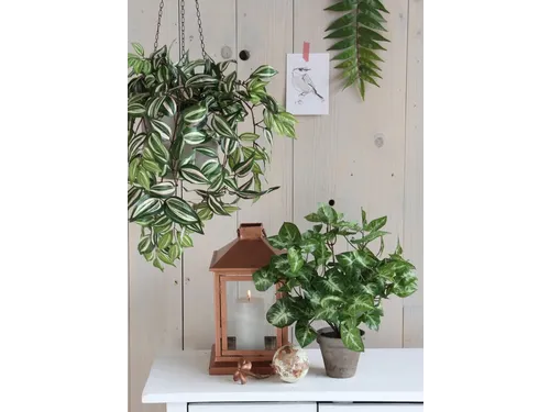 Kunstplant Mica Syngonium groen in pot 35x25cm