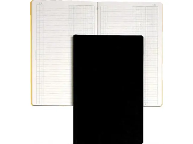 journaal, ft 32 x 19,5 cm, Franstalig