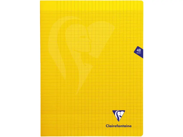 Clairefontaine schrift Mimesys A4+ 24 vel Seyès, kaft in PP assorti