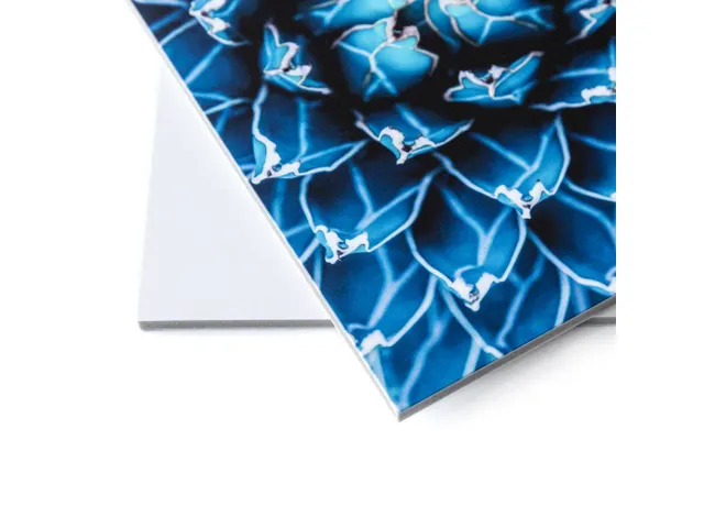 KAPA foamboard paneel met eigen Print 50x100cm Enkelzijdig