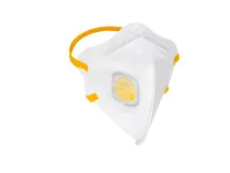 Bx15 Rsg 202435 Dust Mask Ffp3