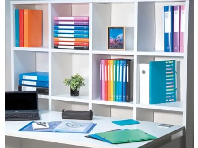 Elastobox A4 Rug Van 25mm PP Assorti Kleuren