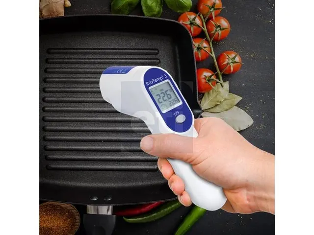 ETI Raytemp 3 Infrarood thermometer