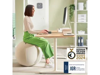 Leitz Ergo actieve zitbal anti-rol met stop-functie 65cm lichtgrijs - 7