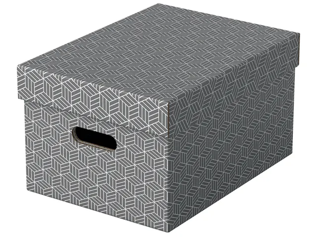 Boîte de rangement Esselte Home Medium 265x205x365mm gris 3pcs