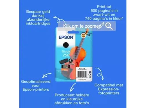 Inktcartridge Epson 250 T16N14 zwart