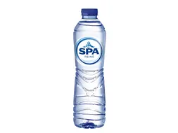 Water Spa Reine blauw petfles 500ml