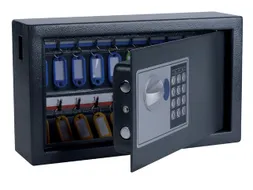Sleutelkast Pavo high security 20 haken 205x347x147mm elektronisch