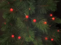 Light Creations Verlichting