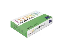 Kopieerpapier Dublin Donkergroen A4 80 Gram 500 Vel