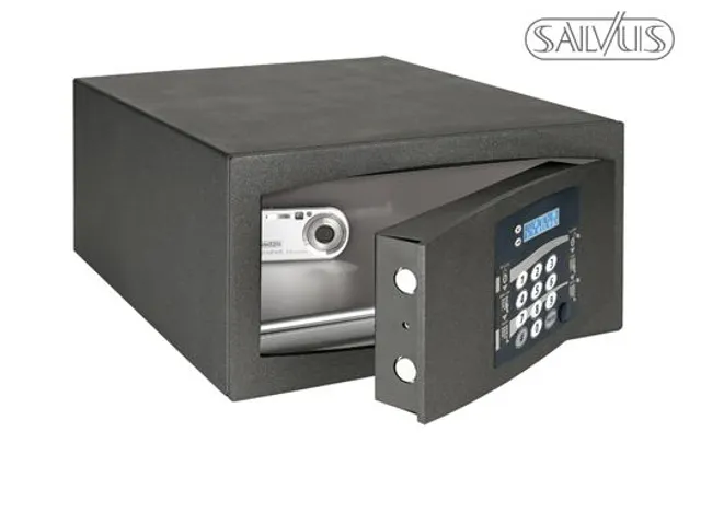 Salvus Novellara 2 Hotelkluis