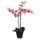 Kunstplant Mica Phalaenopsis orchidee roze in plastic pot 79x51cm