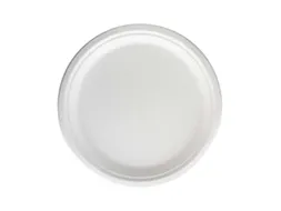 Bord IEZZY 260mm suikerriet PFAS-vrij wit 50 stuks wit