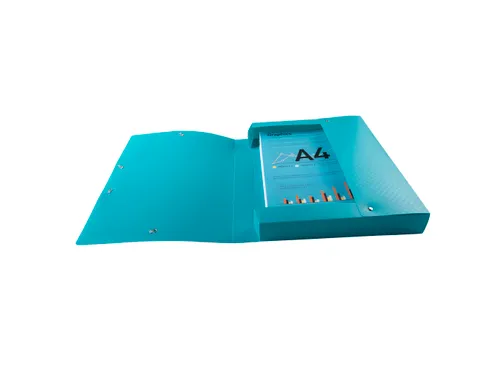 Klasseerdoos rug 40m m PP Forever Young