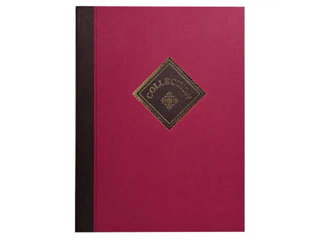 - Couleurs assorties