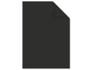 papier Kangaro A4 160 gram pak a 50 vel (10x5) assorti - 12