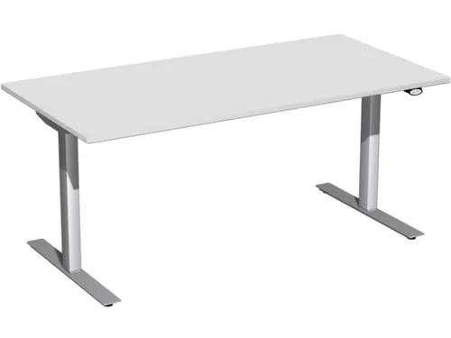 Elektrisch in hgte vst. zit-sta-bureau lichtgrijs 650-1250x1600x800mm