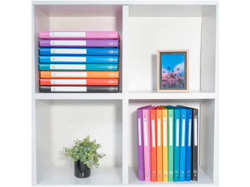 Klasseerdoos OPAK PP rug 25mm zwart