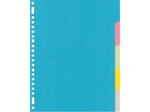 Tabbladen Kangaro A4 23-gaats RY405M 5-delig assorti karton