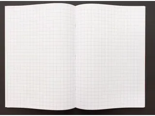 Schrift Kangaro A4 ruit 10mm zwart pak a 5 stuks - 3