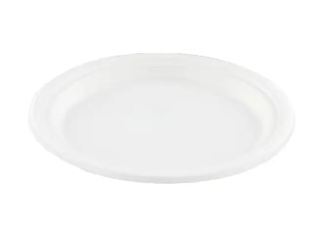 Suikerriet bord rond 23 cm wit milieuvriendelijk