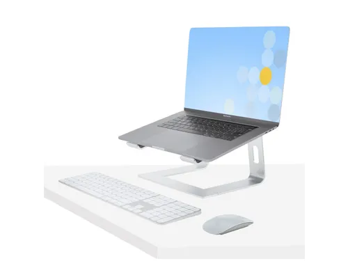 Laptopstandaard Zilver Aluminium Ergonomisch max 5 kg tot 17''