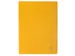 Protège-documents en polypropylène souple OPAK 180 vues - A4 - Coule