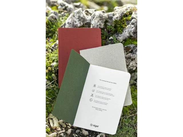 Carnet de notes Re-Up A5 ligne rouge SC 100pag 100g