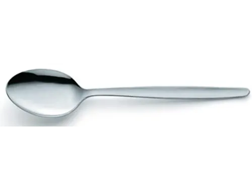 Scandinave lepel uit inox