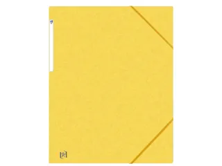 Elastomap Oxford Top File+ A3 assorti karton - 4