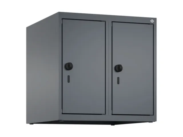 opzetkast,v. locker,2vak.,vak B 250mm,HxBxD 500x500x500mm,vleugeldeur